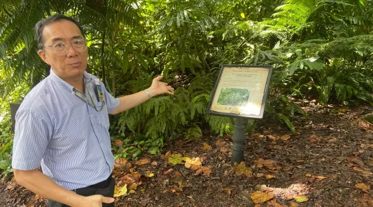世界遺産_シンガポール植物園